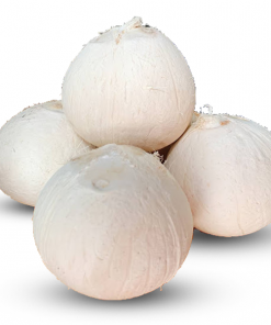 Dừa xiêm trọc Bến Tre
