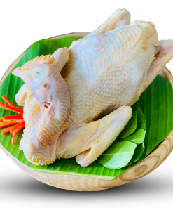 Gà ri Hoà Bình