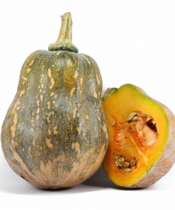 Bí nếp cô tiên