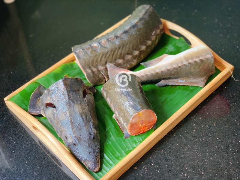 Cá Tầm Sapa