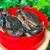 Cua thịt Cà Mau size 3 con/kg