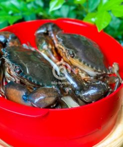 Cua thịt Cà Mau size 3 con/kg