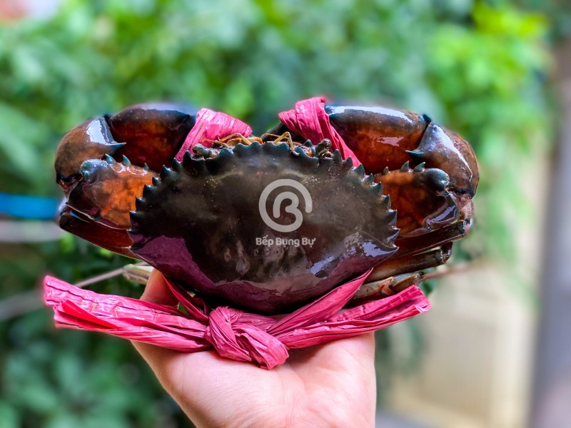Cua thịt Cà Mau size 4 con/kg